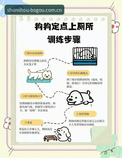 每天顺手的第一站博狗app登录教程使用技巧 每天顺手的第一站博狗app登录教程使用技巧:从踩坑到顺手,三步搞定的新手指南